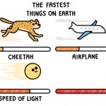the fastest things on earth meme
