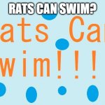 Rats Can Swim? | RATS CAN SWIM? | image tagged in rats can swim,rats,fun fact | made w/ Imgflip meme maker