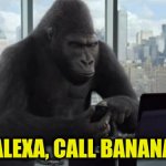 Important Gorilla | ALEXA, CALL BANANA | image tagged in office gorilla | made w/ Imgflip meme maker