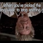 Wrong week to stop | When you've picked the wrong week to stop sniffing glue. | image tagged in airplane sniffing glue,having a bad day,wtf,airplane wrong week,airplane,steve mccroskey | made w/ Imgflip meme maker