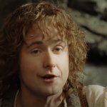 pippin particularly good | image tagged in particularly good,pippin,lotr,good | made w/ Imgflip meme maker