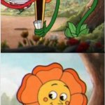 Bipolar flower meme