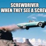 screwdriver | SCREWDRIVER WHEN THEY SEE A SCREW | image tagged in drivingoffacliff | made w/ Imgflip meme maker