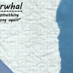narwhal announcement template 5 meme