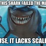 Shark failed math test | WHY DID THIS SHARK FAILED THE MATH TEST? 'CAUSE, IT LACKS SCALE(S)! | image tagged in shark,math,test,fail | made w/ Imgflip meme maker