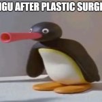 pingu | PINGU AFTER PLASTIC SURGERY | image tagged in pingu | made w/ Imgflip meme maker
