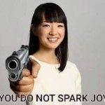 YOU DO NOT SPARK JOY