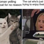 Cat yelling at woman | The woman yelling at the cat for no reason; The cat who's just trying to enjoy their salad | image tagged in cat yelling at woman,memes | made w/ Imgflip meme maker