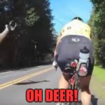 Oh Deer!