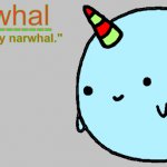 narwhal announcement temp 7
