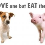 why love one but eat the other