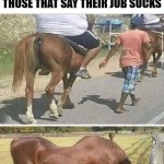 Job And You Say Your Job Sucks