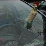 corn and windshield