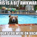 Pool Bear | THIS IS A BIT AWKWARD. I THOUGHT YOU WERE ON VACATION. | image tagged in pool bear | made w/ Imgflip meme maker