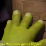 Shrek book closing mene meme