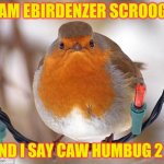 caw humbug | I AM EBIRDENZER SCROOGE AND I SAY CAW HUMBUG 2 U | image tagged in memes,bah humbug,bird,scrooge,christmas | made w/ Imgflip meme maker