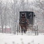 Amish Buggy Snow