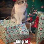 Jellie the cat | I am Jellie! king of destroyed... presents? | image tagged in jellie sitting on present | made w/ Imgflip meme maker