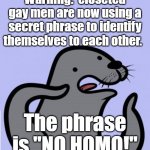 It's too obvious | Warning:  closeted gay men are now using a secret phrase to identify themselves to each other. The phrase is "NO HOMO!" | image tagged in homophobic seal large,closeted gay,secrets,phrases,no homo | made w/ Imgflip meme maker