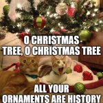 I acually tie my christmas tree to the wall because, 4 cats. Just saying | O CHRISTMAS TREE, O CHRISTMAS TREE; ALL YOUR ORNAMENTS ARE HISTORY | image tagged in christmas cats,random,santa claus | made w/ Imgflip meme maker