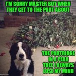 Those damn Christmas Carolers... | I'M SORRY MASTER BUT WHEN THEY GET TO THE PART ABOUT; THE PARTRIDGE IN A PEAR TREE I ALWAYS LOSE MY MIND | image tagged in dog christmas tree,memes,christmas carols,funny,dogs,christmas | made w/ Imgflip meme maker