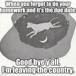 This is tru tho. | When you forgot to do your homework and it's the due date:; Good bye y'all, I'm leaving the country. | image tagged in cow jumping over the moon | made w/ Imgflip meme maker