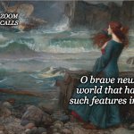 You might just want to stay on your tropical island, Miranda | ZOOM
CALLS; O brave new world that has such features in't! | image tagged in brave new world,shakespeare,irony | made w/ Imgflip meme maker