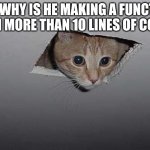 Ceiling Cat High-Res | ME:  WHY IS HE MAKING A FUNCTION WITH MORE THAN 10 LINES OF CODE? | image tagged in ceiling cat high-res | made w/ Imgflip meme maker