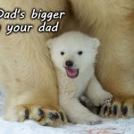 Tough Li'l Cub | My Dad's bigger than your dad | image tagged in animals,funny animals,polar bears,bears | made w/ Imgflip meme maker
