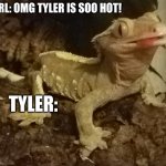 OMG TYLER!!! | GIRL: OMG TYLER IS SOO HOT! TYLER: | image tagged in gecko stand,tyler,gecko | made w/ Imgflip meme maker