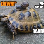Turtle Snail Warning | "SLOW DOWN!"; WINTER 
BANDWIDTH; BANDWIDTH | image tagged in turtle snail,slow,fast,fight,internet,net | made w/ Imgflip meme maker