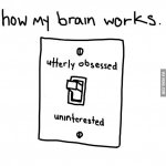 how my brain works