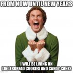 Buddy Elf Excited! | FROM NOW UNTIL NEW YEARS; I WILL BE LIVING ON GINGERBREAD COOKIES AND CANDY CANES | image tagged in buddy elf excited,christmas,new years,memes,funny,true story bro | made w/ Imgflip meme maker