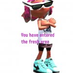 you have entered the fresh area meme