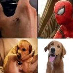 HAHAHA Spiderman bite meme meme