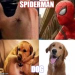 Siahara Shyne MEMES 2020 PC Master | SPIDERMAN; DOG | image tagged in hahaha spiderman bite meme,spiderman peter parker,nooo haha go brrr,hahaha,lol so funny,doge | made w/ Imgflip meme maker