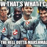 ghostbusters | WOW THAT’S WHAT I CALL; BLOWING THE HELL OUTTA MARSHMALLOW MAN | image tagged in ghostbusters | made w/ Imgflip meme maker