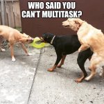 One Sided Dog Fight | WHO SAID YOU CAN’T MULTITASK? | image tagged in one sided dog fight | made w/ Imgflip meme maker