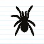 Spoder