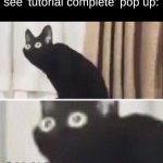 Oh no cat | When 2020 ends and you see 'tutorial complete' pop up: | image tagged in oh no cat | made w/ Imgflip meme maker