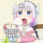 Protect the sneks | ME; RESPECT SNEKS | image tagged in kanna eating rice,snek | made w/ Imgflip meme maker