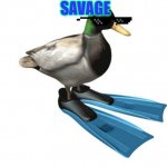 duck | SAVAGE | image tagged in duck with fillpers | made w/ Imgflip meme maker