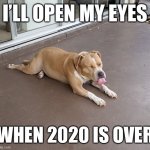 Here’s what I think of that | I’LL OPEN MY EYES WHEN 2020 IS OVER | image tagged in here s what i think of that | made w/ Imgflip meme maker