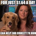 Humans in need of Stimulus | FOR JUST $1.64 A DAY; YOU CAN HELP END CRUELTY TO HUMANS | image tagged in sarah mclachlan | made w/ Imgflip meme maker