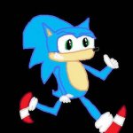 Sonic the hedgehog