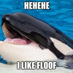 Hehehe orca | HEHEHE; I LIKE FLOOF | image tagged in hehehe orca | made w/ Imgflip meme maker