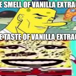 true tho | THE SMELL OF VANILLA EXTRACT; THE TASTE OF VANILLA EXTRACT | image tagged in good lookin sponge bob,meme | made w/ Imgflip meme maker