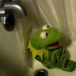 Kermit in Shower meme