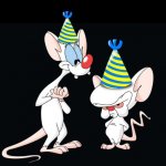 Pinky and the Brain birthday hats