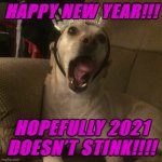 Happy 2021 everyone! | HAPPY NEW YEAR!!! HOPEFULLY 2021 DOESN’T STINK!!!! | image tagged in screaming doggo,happy new year,2021,2020 sucked | made w/ Imgflip meme maker